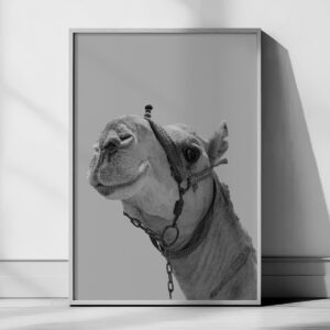 Camel art wallpaper