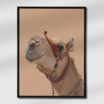 Desert Royalty