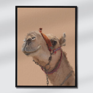 Desert Royalty